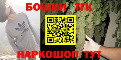 Альфа ПВП Сланцы