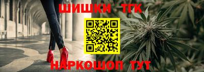 мдпв Славгород